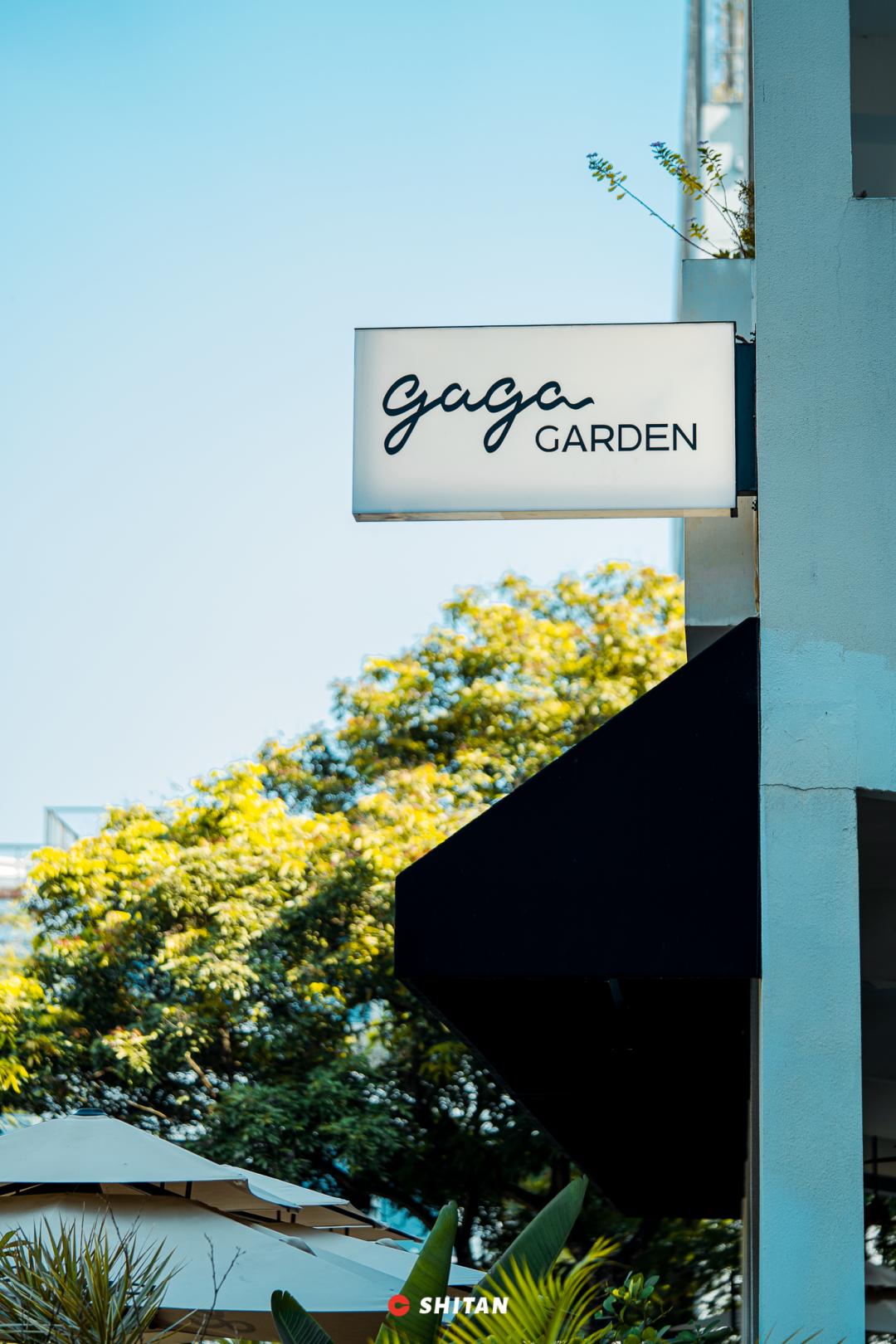 gaga新款到店,gaga今日新款推荐