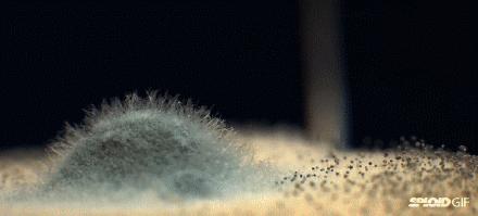 家里潮湿有霉菌,家里墙壁有潮湿的霉菌怎么办