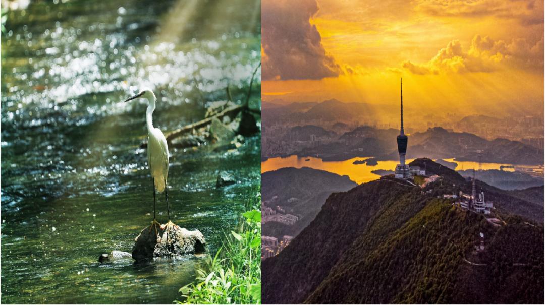 厦门深圳旅游攻略自由行,厦门和深圳游玩