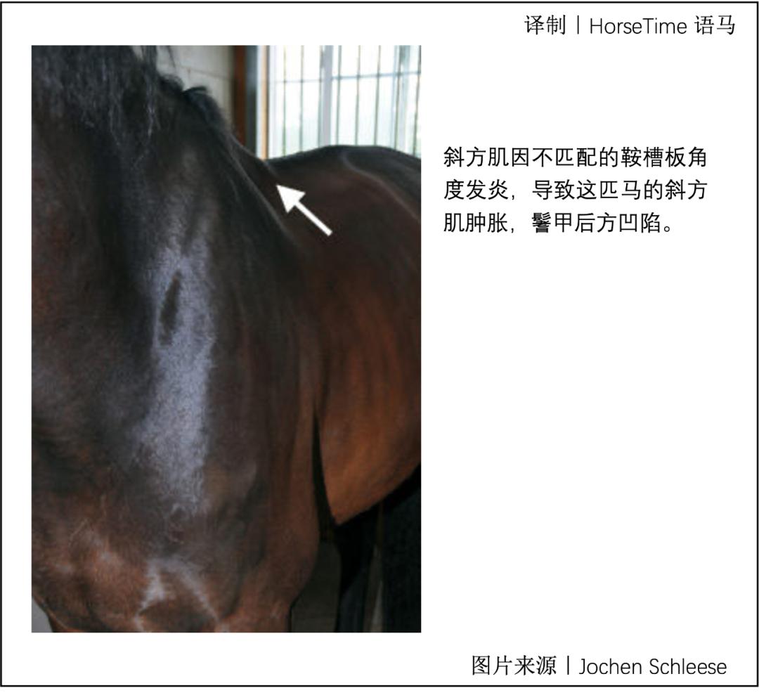 马鞍不匹配会带来哪些危害,马鞍不匹配会造成什么后果