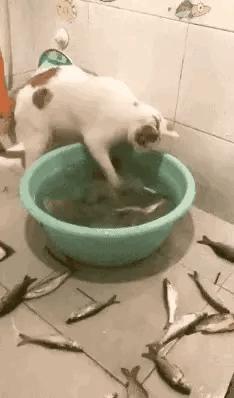 每日一笑：这个测试能说明什么？就这样怼十个手机都得破吧？