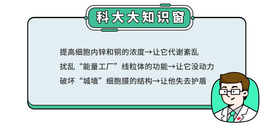 头皮屑是不是因为洗发水的原因,头皮屑多掉发和洗发水有关吗