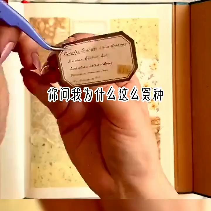 📖知己圆梦#每日推文小说