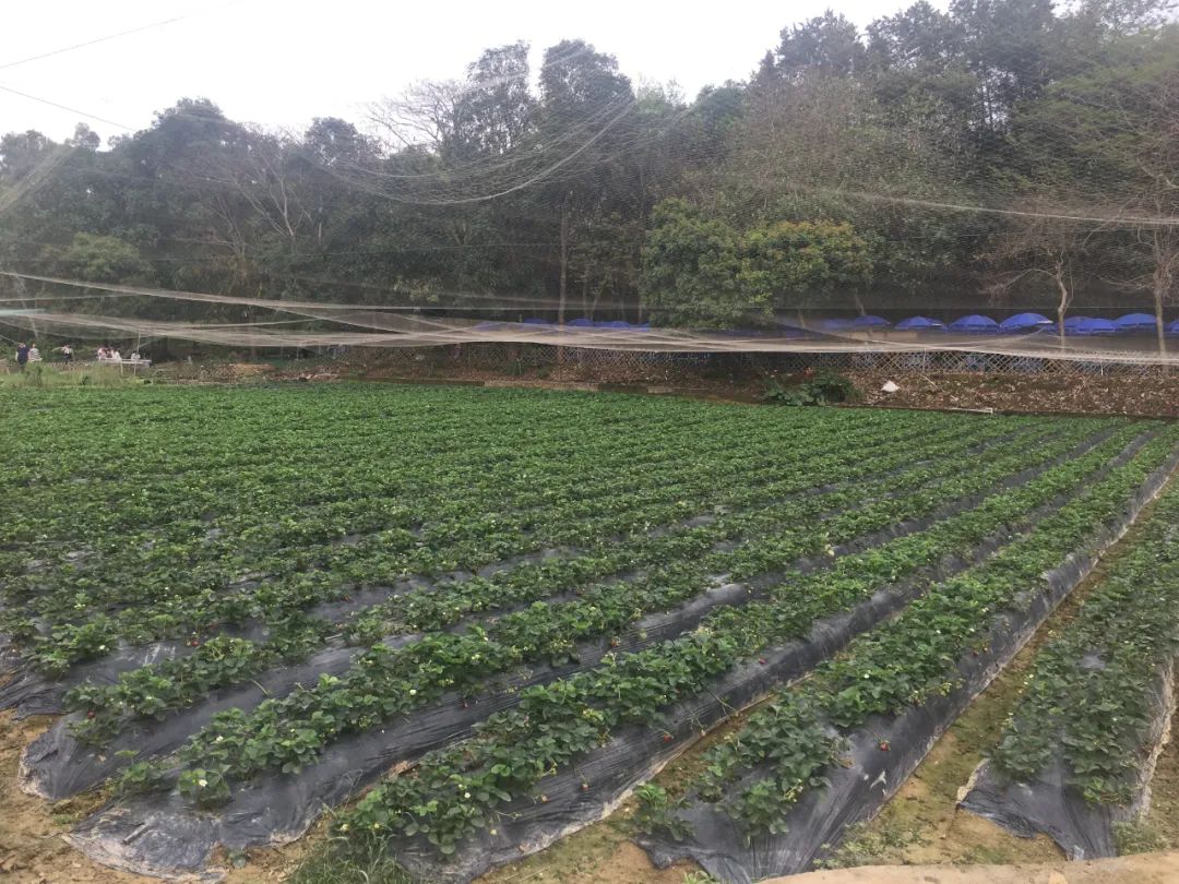 旭光电动车行,旭光车行向阳路