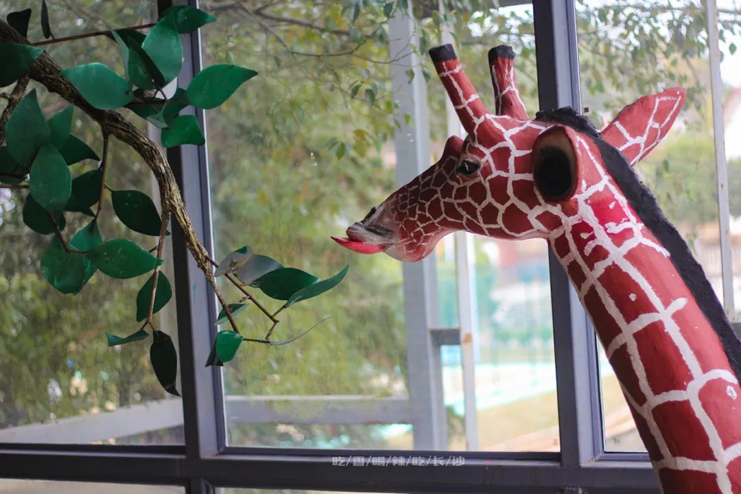 长沙攻略非热门,长沙旅游攻略免费存行李