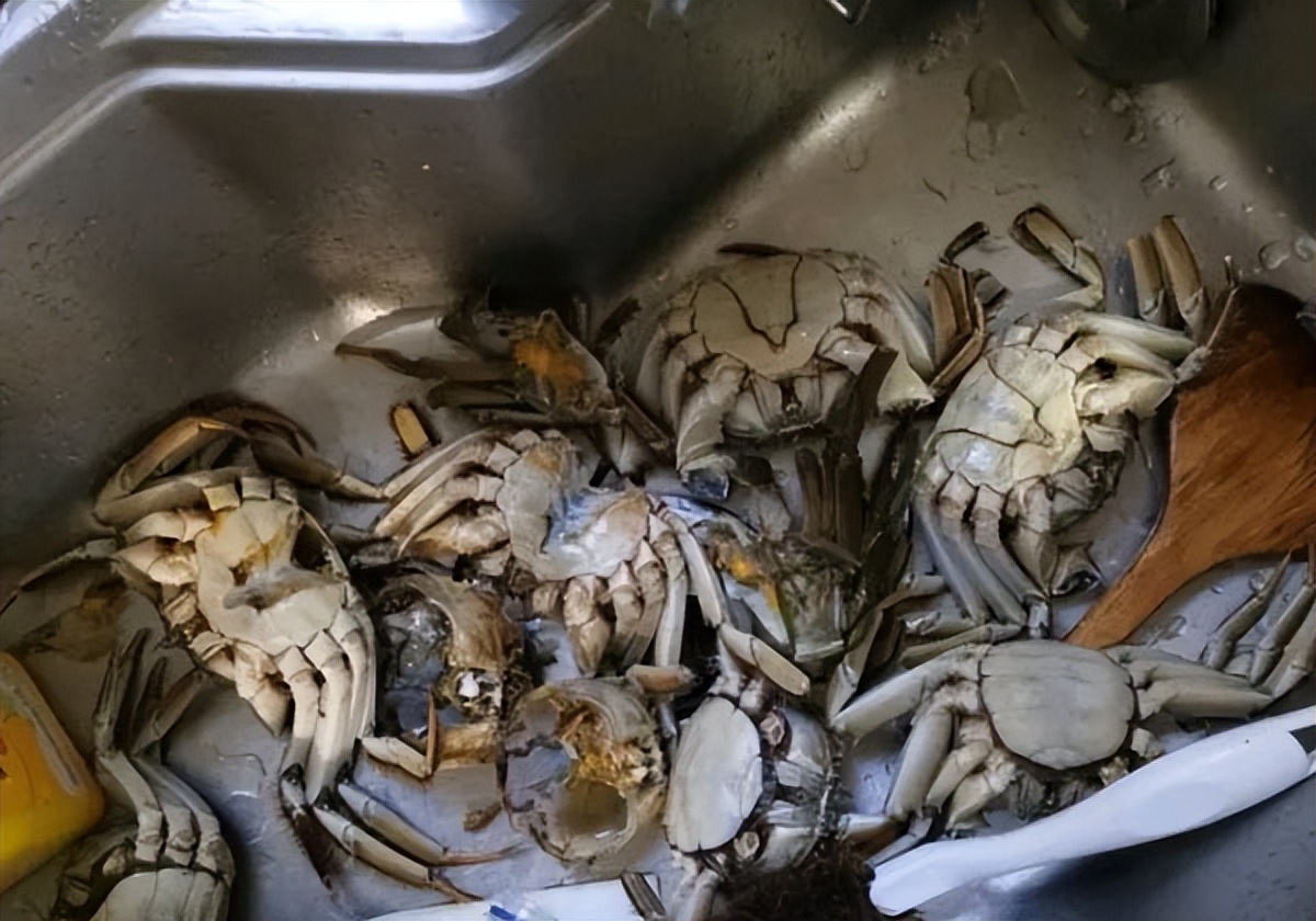 死掉的大闸蟹到底有多毒,大闸蟹买的活的到家死了还能吃吗