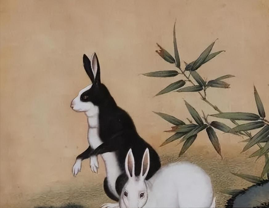 癸卯兔年犯太岁怎么化解,兔年犯太岁的讲解