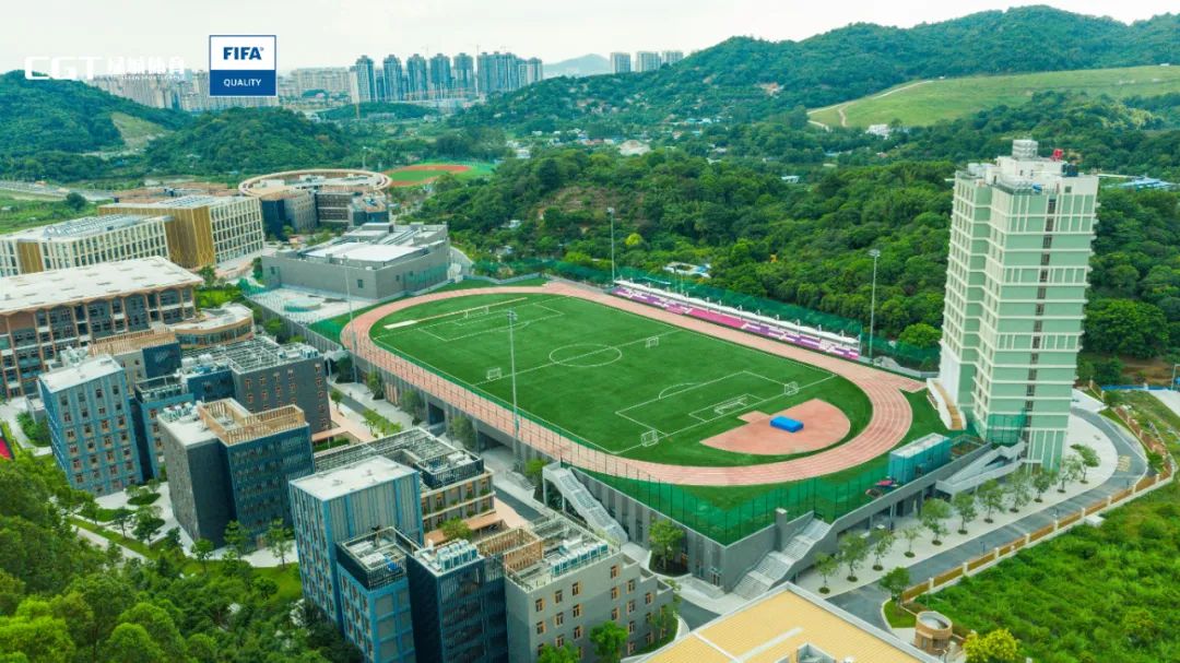 fifa认证足球场是真草吗,fifa认证足球