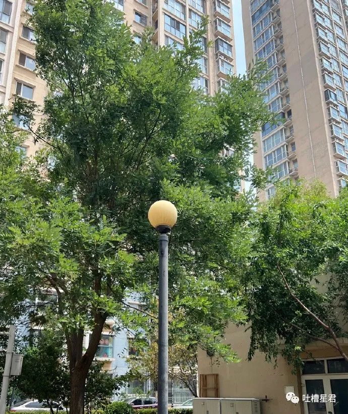 萧敬腾求婚50岁经纪人谈了多少年,萧敬腾求婚50岁经纪人多久结婚