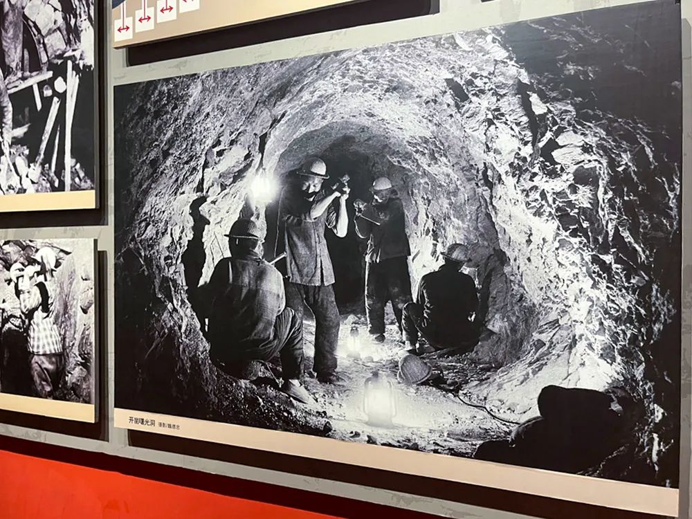 李忠强简介,河南安阳李忠强