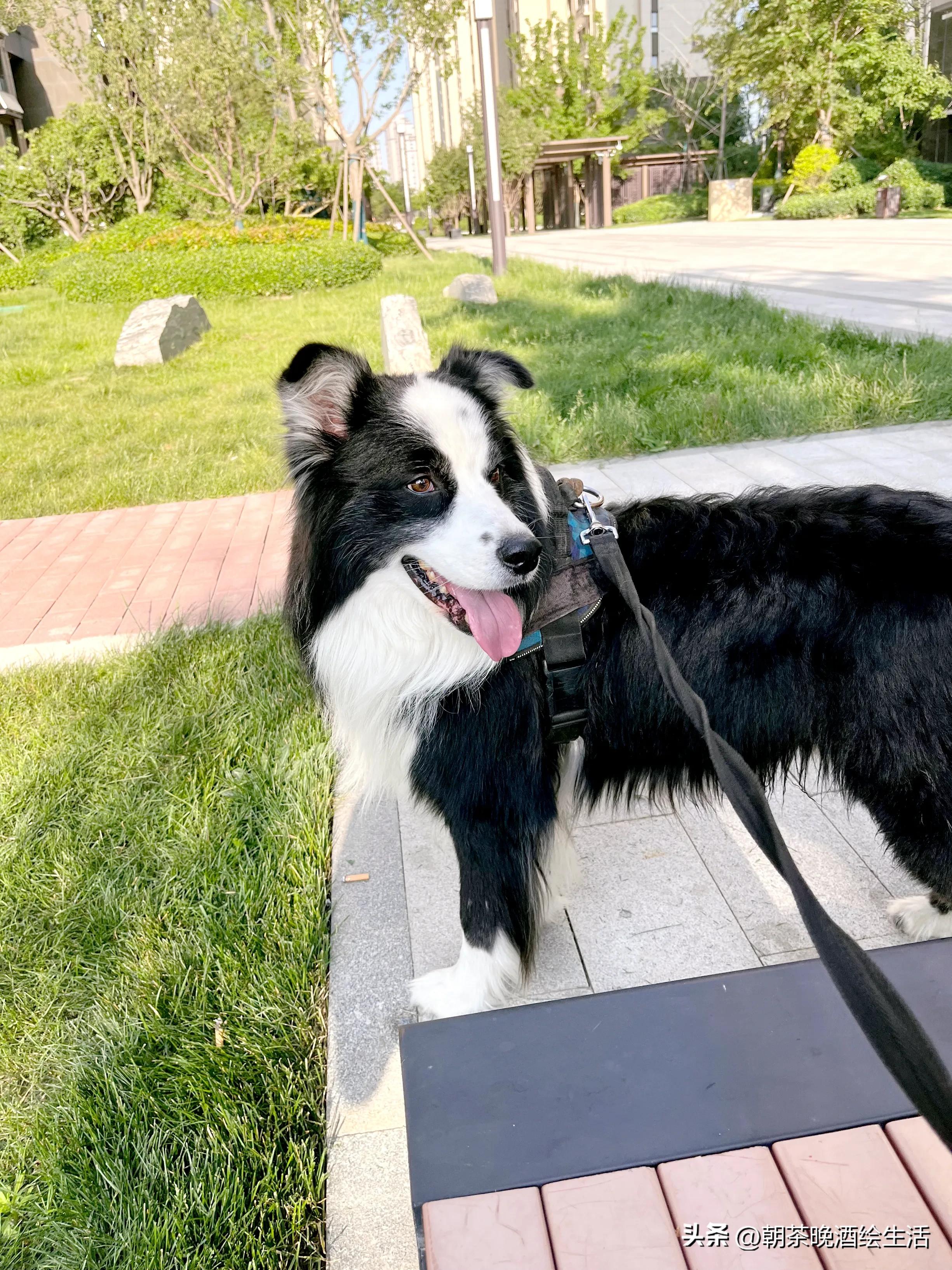 回门宴也可以有满满的仪式感,回门宴和婚礼流程一样吗