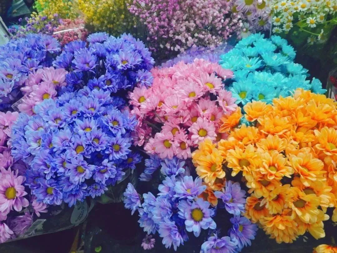 济南春天看花好去处,来济南买金子