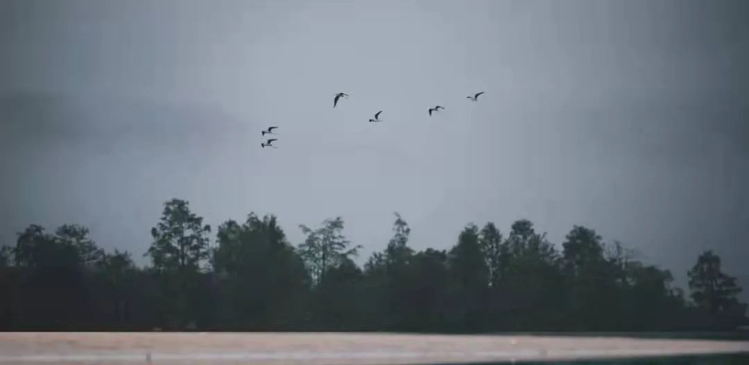 安庆市所有古镇古村,安庆十大古镇名单