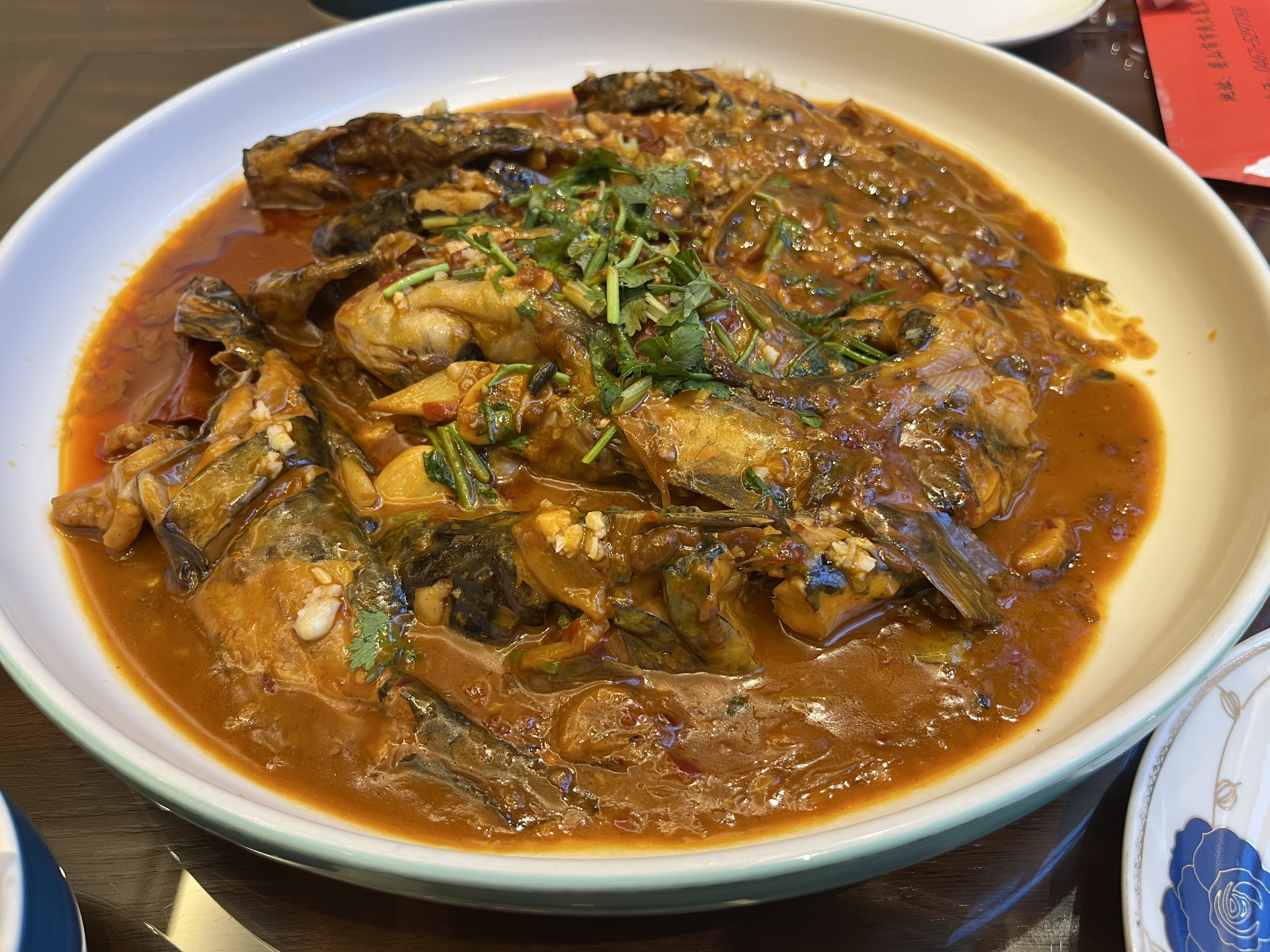 夫妻自驾11000公里,夫妻两人自驾游最新视频