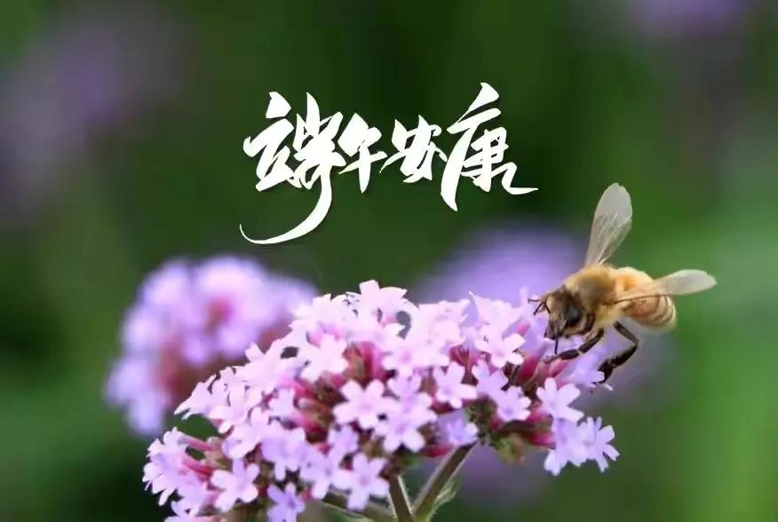 精选端午节祝福语合集44句,端午节祝福语正能量短句二十字