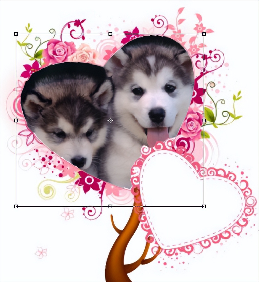 ps如何把照片放入相框,如何用ps给照片加相框