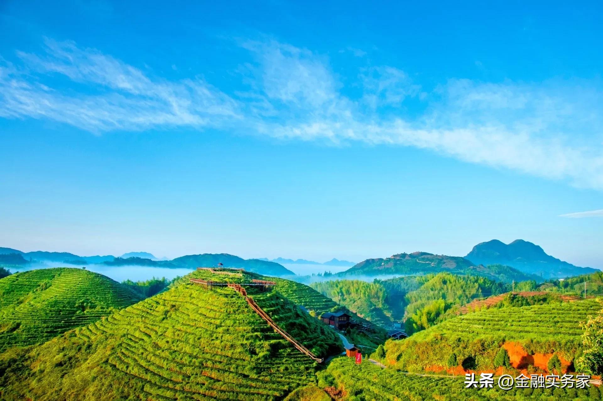 武夷山茶和风景的文案,大田美人茶景区文案