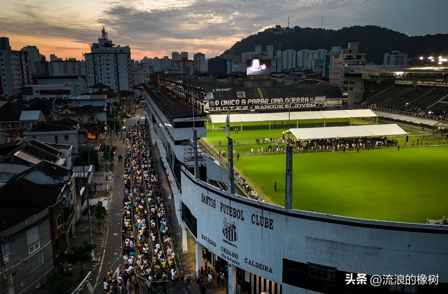 橡树|贝利，我们的足球的“暗号”