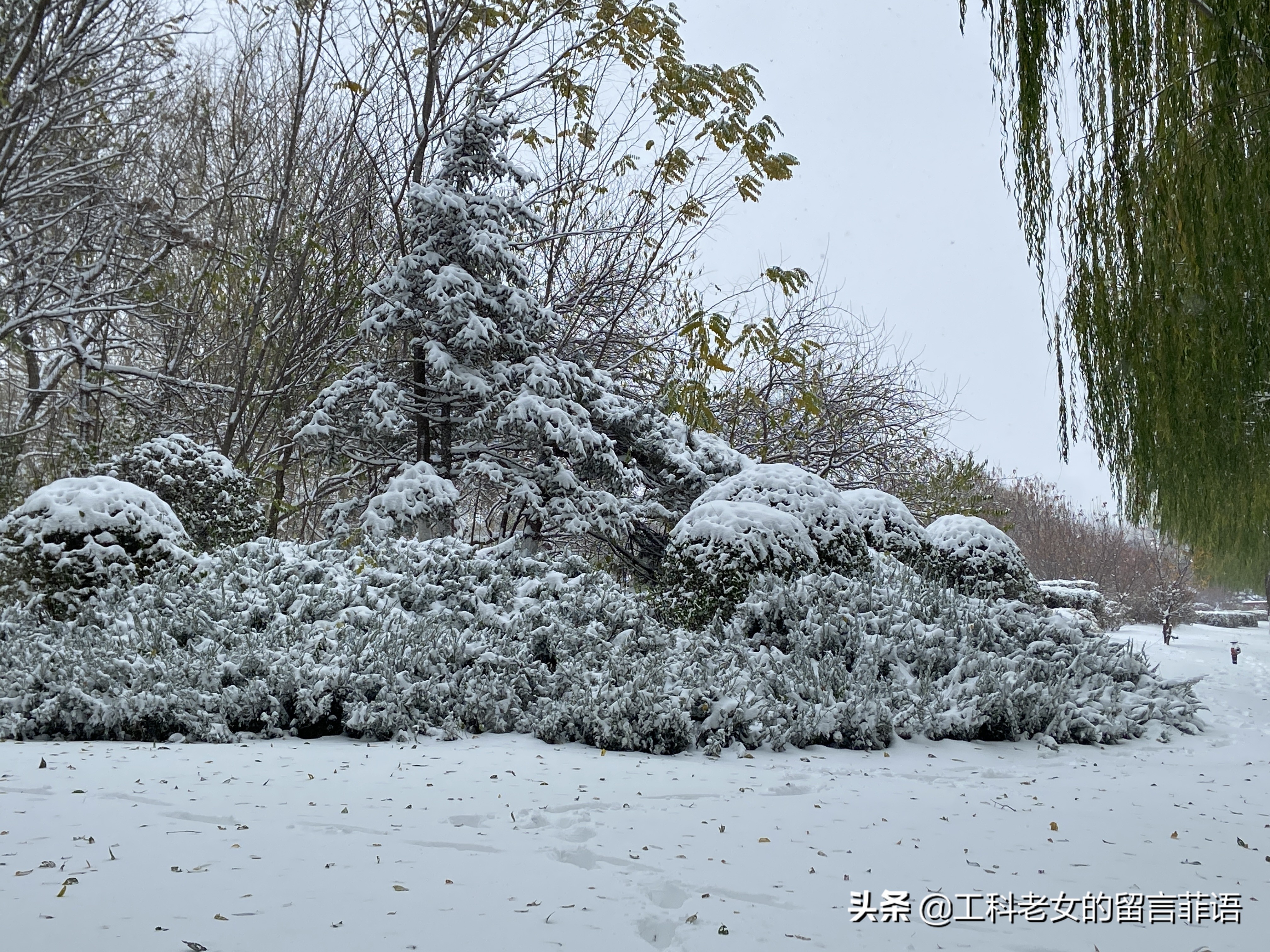 沈阳大雪压塌停车场,沈阳大雪堆雪人