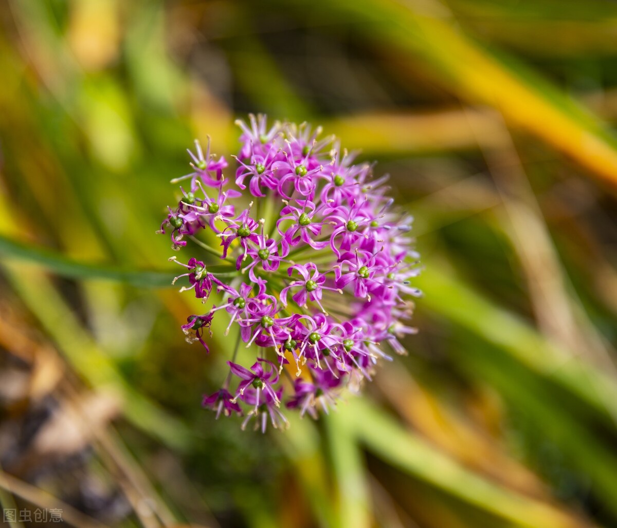 文学讲座全集,我的文学生涯讲座