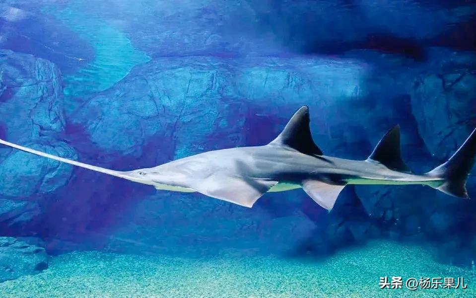 上海浦东新区北蔡镇,上海浦东新区八佰伴附近的酒店