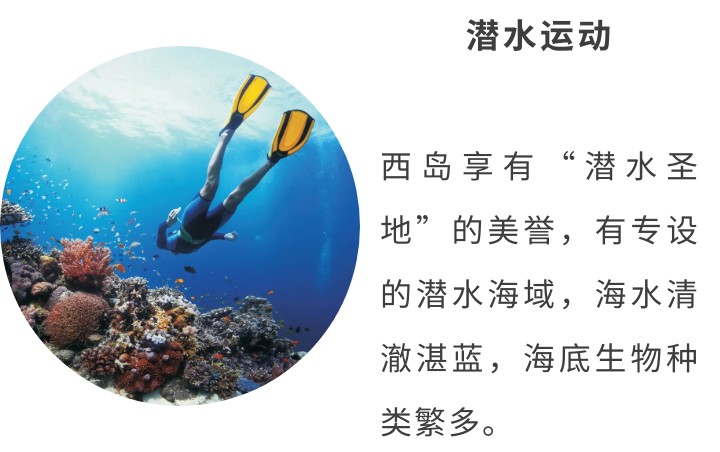 【三亚海滨康养】住在专属中国的“夏威夷”看椰林细浪享海滨风情