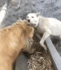 你觉得结婚和不结婚什么区别呢,你们觉得结婚和没结婚有什么区别