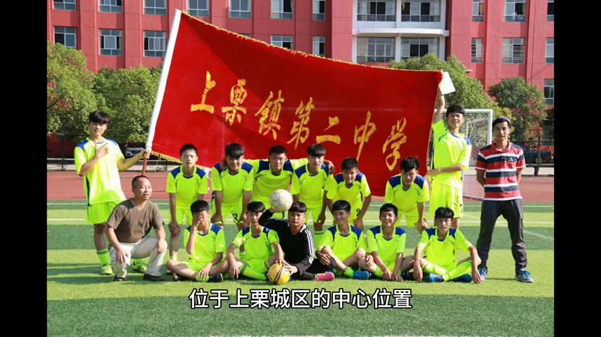 江西萍乡上栗中学排名,江西省上栗县学校