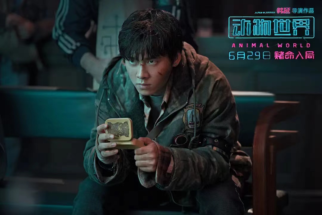 推荐好看动画爱情电影,高分爱情动漫电影推荐