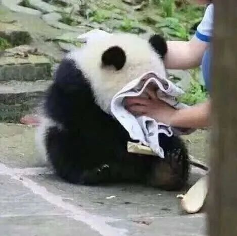 过敏性鼻炎海淘药水靠谱不,有什么治鼻炎的进口药