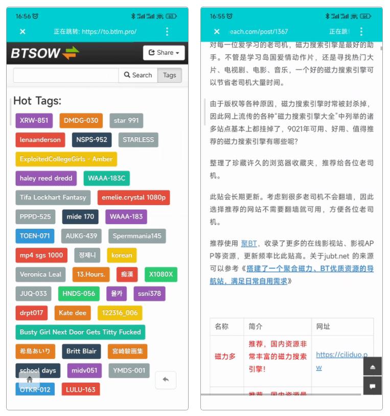 一款非常好用的石兹力*载下**工具，*载下**资源的速度非常快