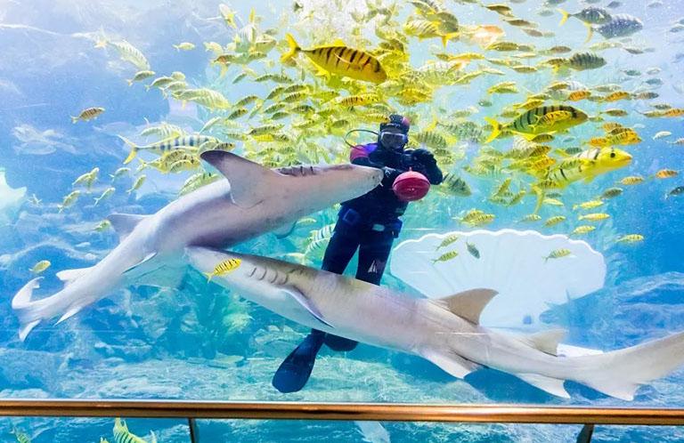 青岛旅游攻略必去景点路线推荐,青岛市内旅游攻略必去景点有哪些