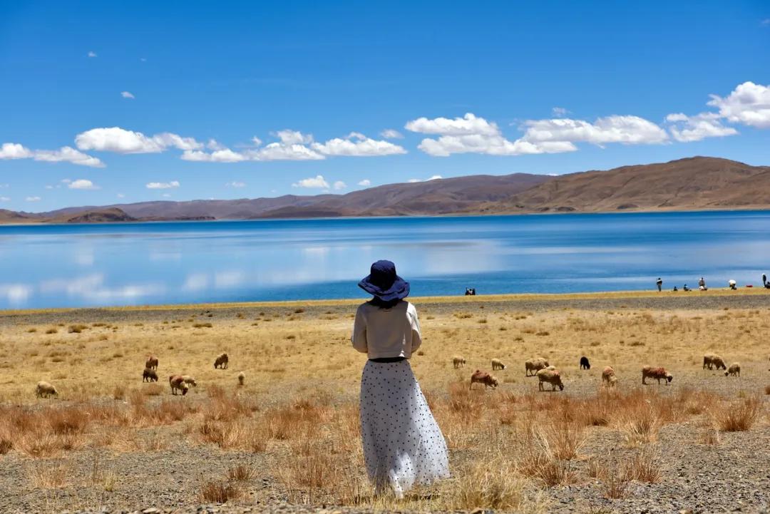 人生最好的状态不羡慕谁不嘲笑谁,最好的修养就是不给别人添麻烦