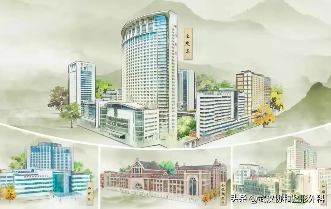 武汉协和整形外科好评汇总,武汉协和整形外科全体成员