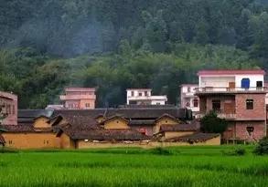 守好自己的一亩田,农村闲散土地种什么可赚钱