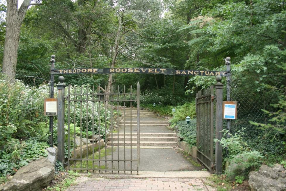 视得乐夜鹰白天适合观看吗,视得乐夜鹰854