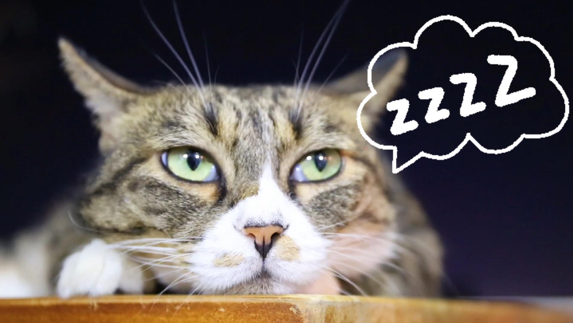 立夏最好吃的六种蔬菜,立夏前后吃什么菜好吃