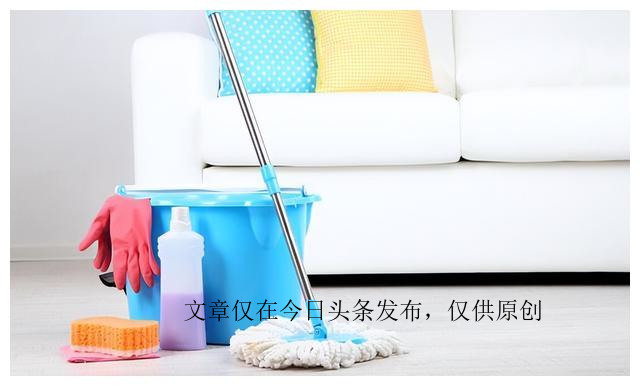 家用拖把哪种品牌最好,保洁拖把单面好用还是双面好用