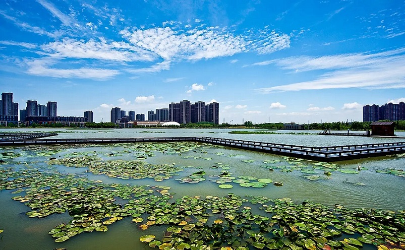 南京免费景点排行榜前十名,南京旅游年卡免费景点一览表