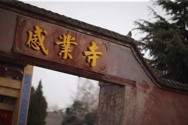 武则天唯一存世文物视频,历史上唯一一代女皇武则天