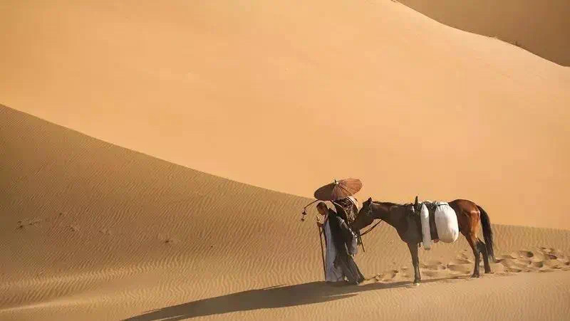 吐鲁番的葡萄南阳的梨,吐鲁番的葡萄哈密的瓜视频