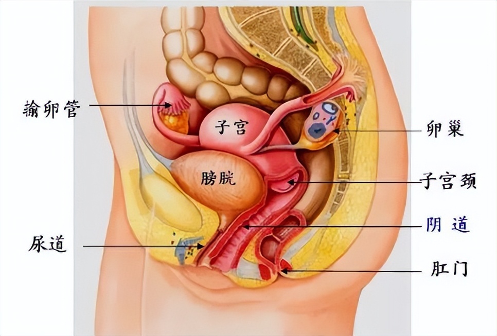 女性阴道癌前期有没有症状,女性应该警惕哪些身体信号