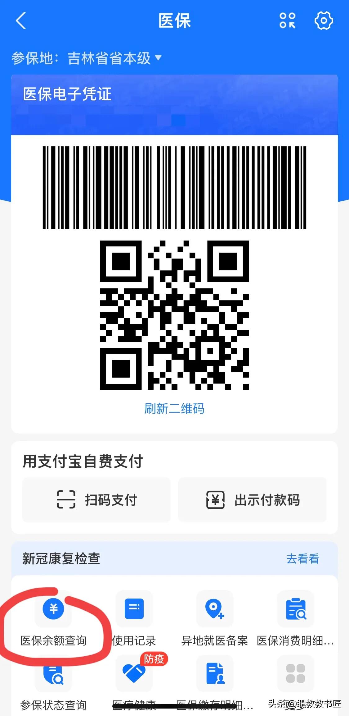 支付宝如何查看医保缴费信息,如何查看医保参保信息
