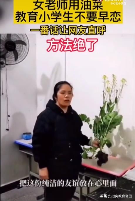 用油菜阻止早恋,老师用油菜花讲早恋