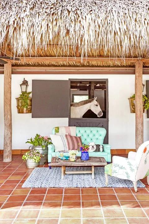 四个孩子、八匹马、八十多只鸡，漫步在一个家里：快乐的蓝狮农场