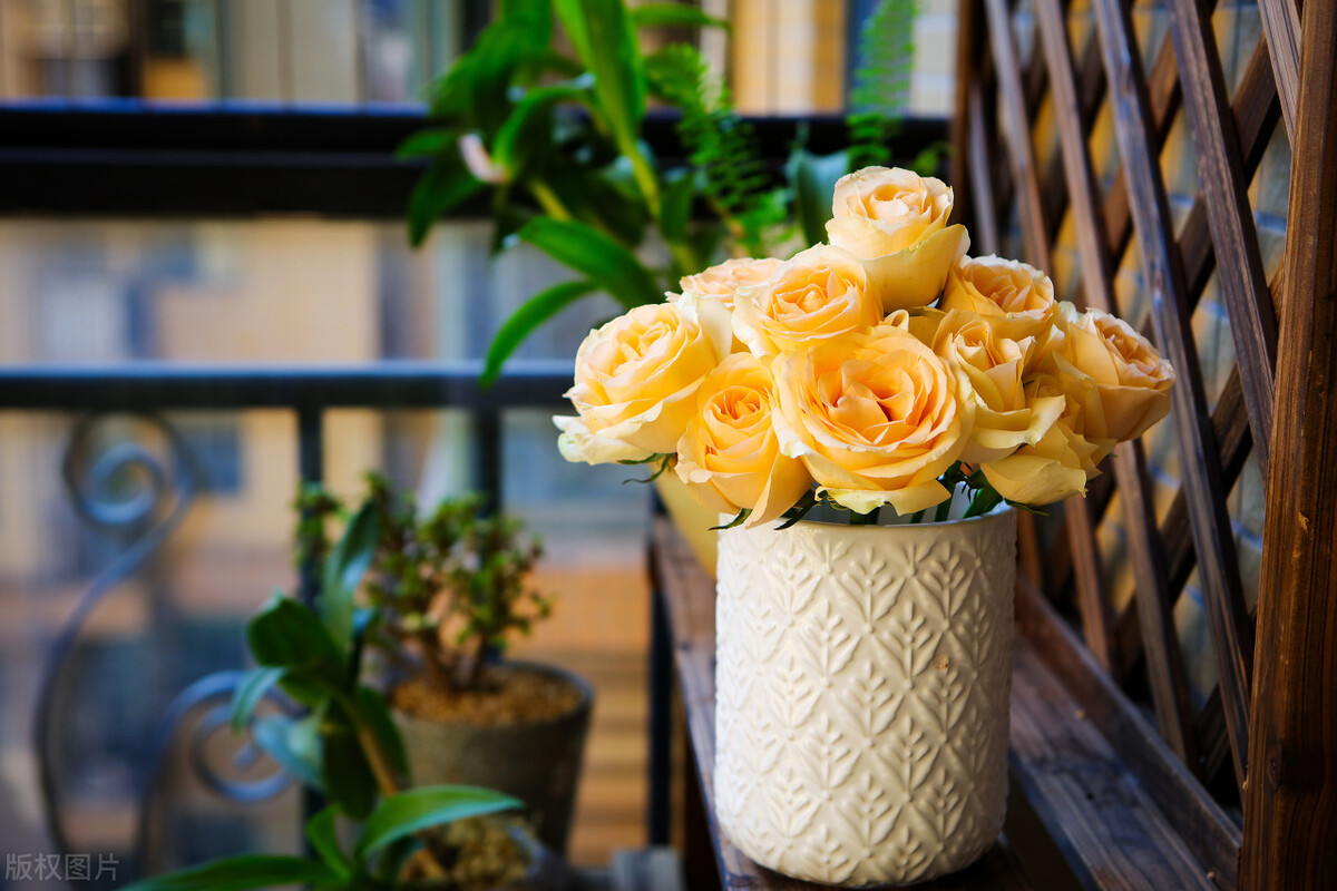 人这辈子最大的悲哀，不是没钱，而是老了以后被子女这么对待