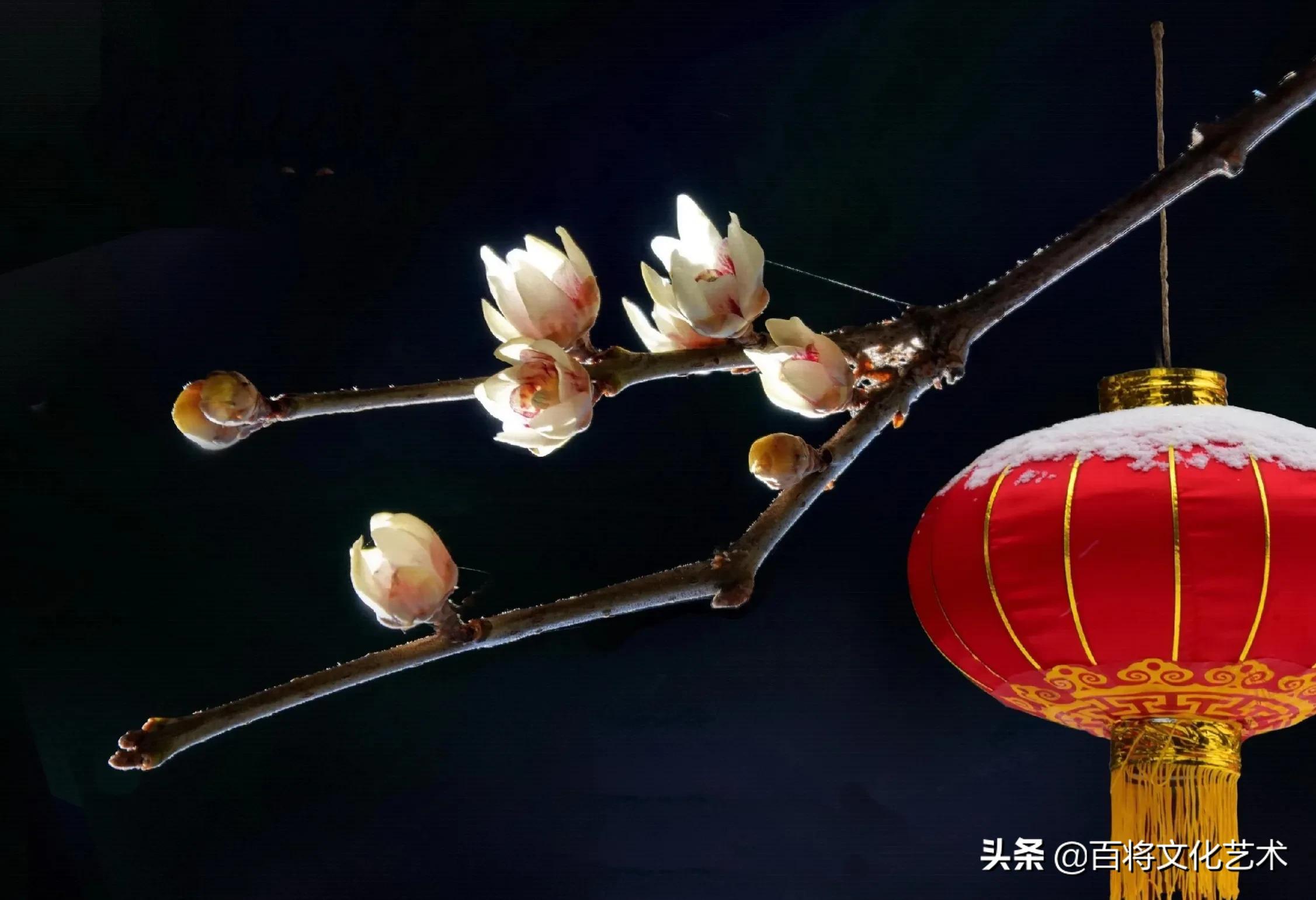 「百将文化」枝横碧玉天然瘦，恋破黄金分外香