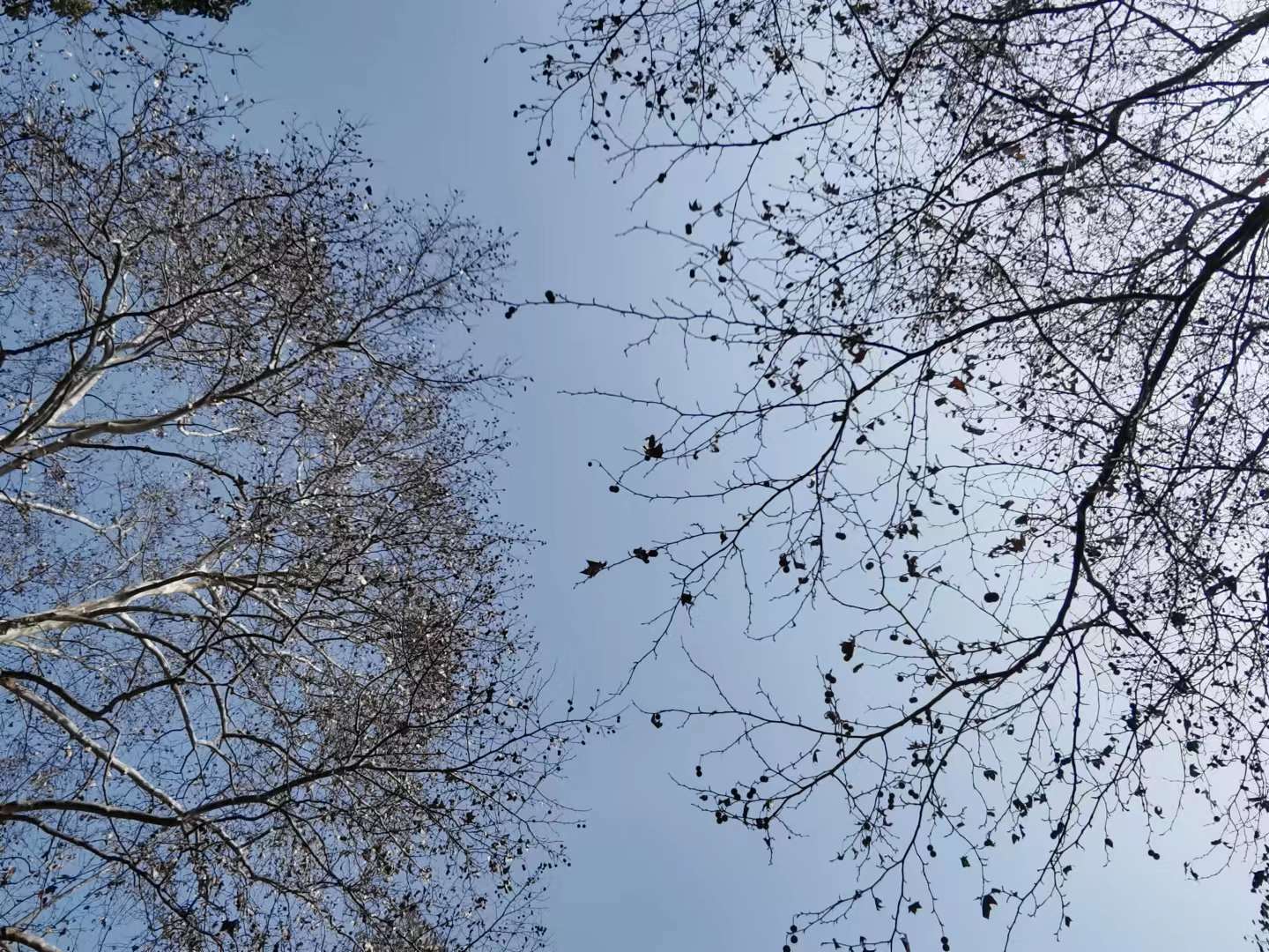 一床盖了二十年的老棉被,一床七十年代棉被