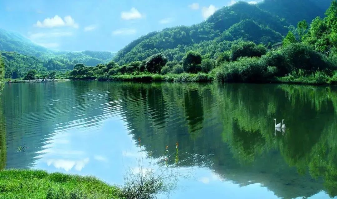 陇南旅游度假,陇南养生天堂旅游攻略