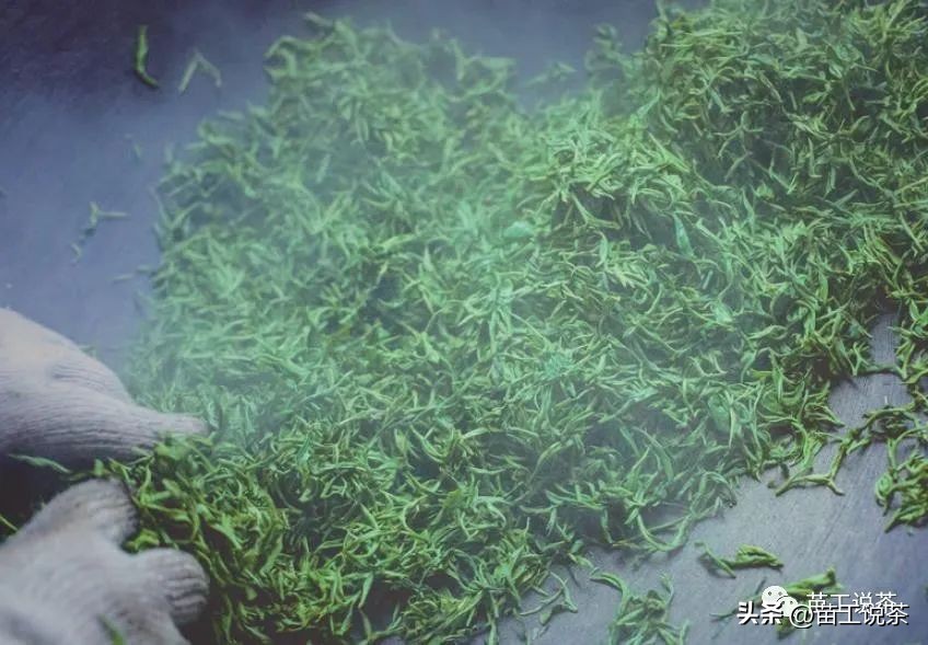 苗工说茶第三百三十五篇——再谈茶叶的“杀青”环节